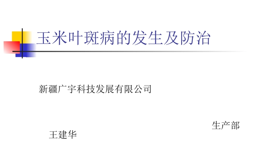 玉米叶斑病的发生及防治.ppt