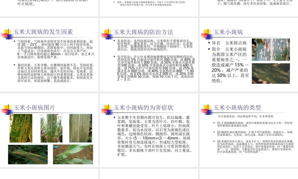 玉米叶斑病的发生及防治.ppt