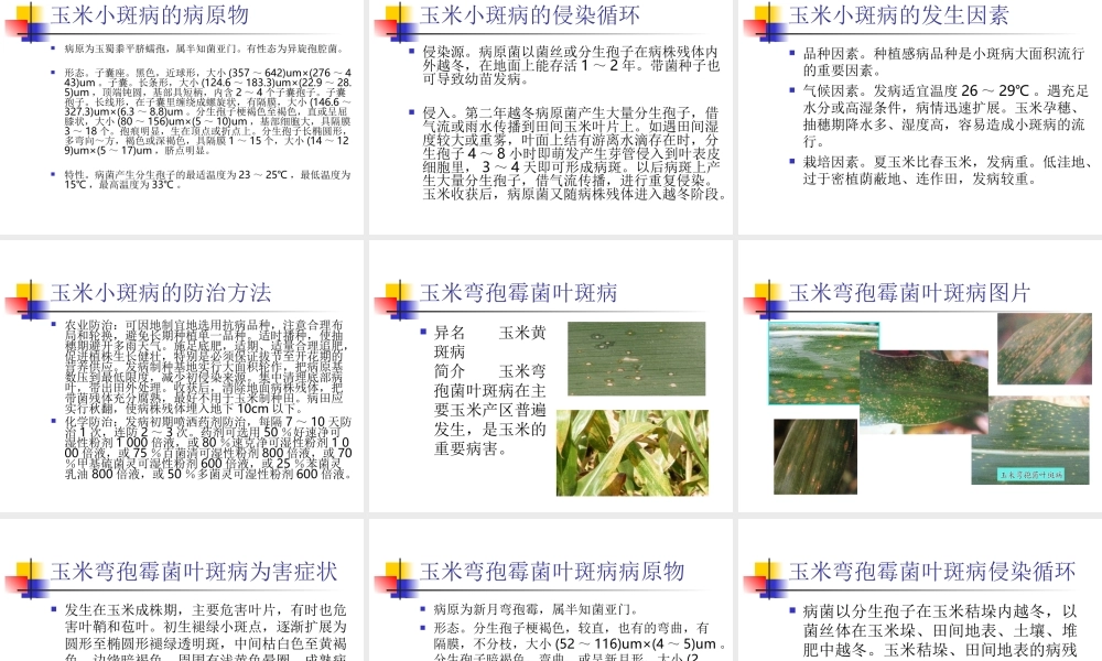 玉米叶斑病的发生及防治.ppt