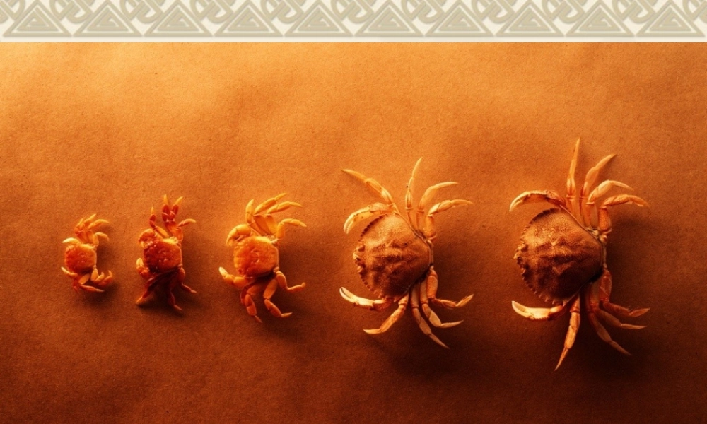 用药和急救-(1).ppt