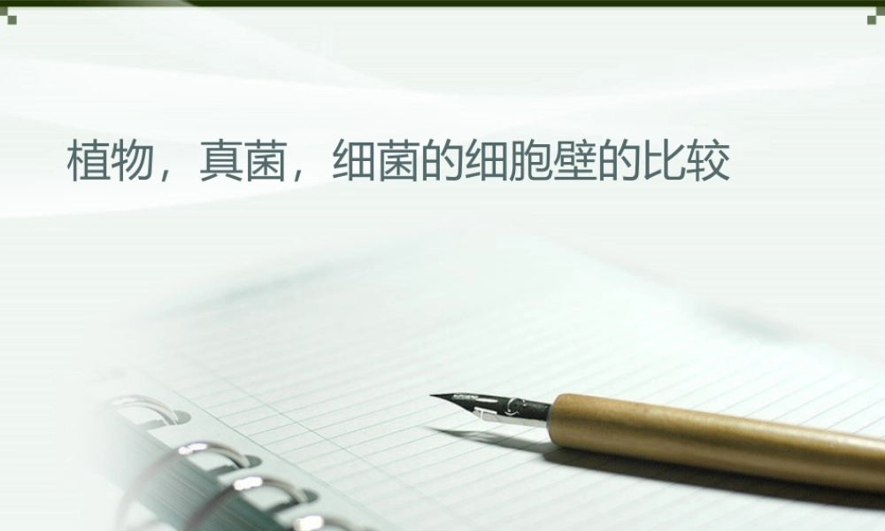 植物-细菌-真菌细胞壁的比较.ppt