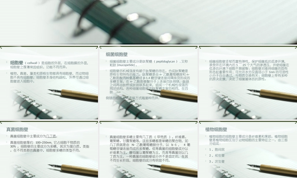 植物-细菌-真菌细胞壁的比较.ppt