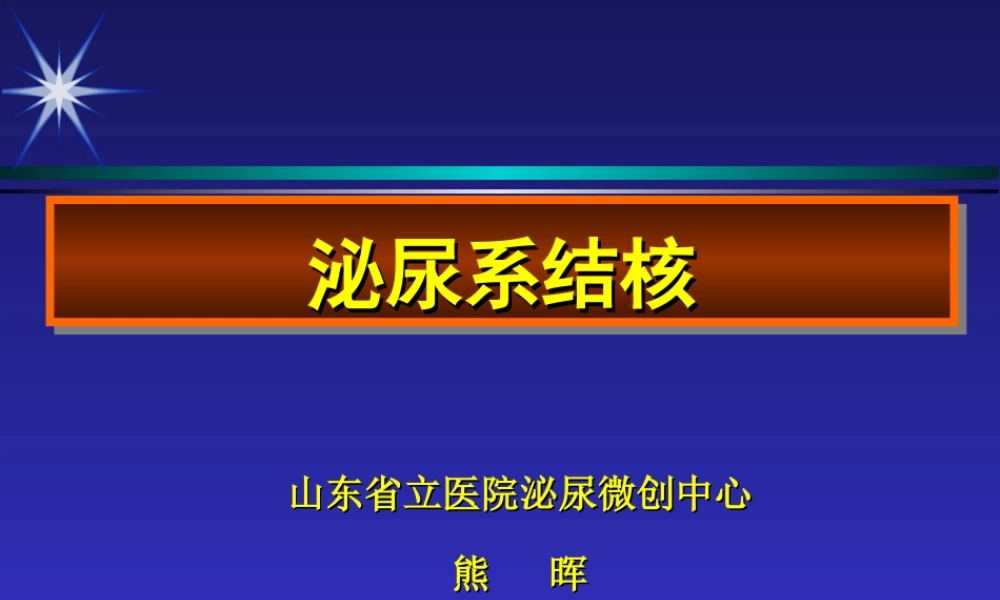 泌尿生殖系统结核资料.ppt