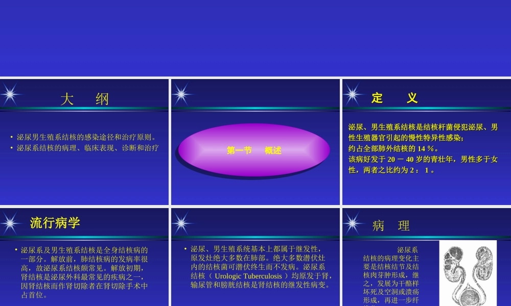 泌尿生殖系统结核资料.ppt