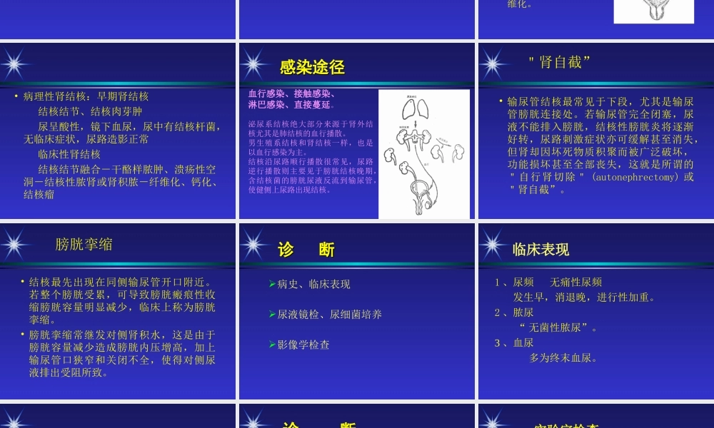 泌尿生殖系统结核资料.ppt