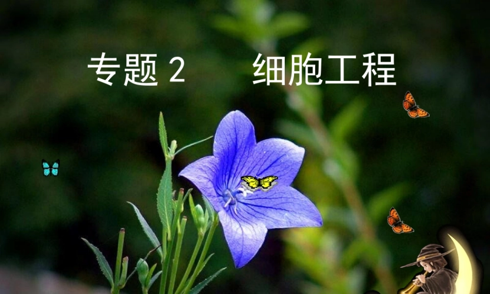 植物细胞工1程.ppt