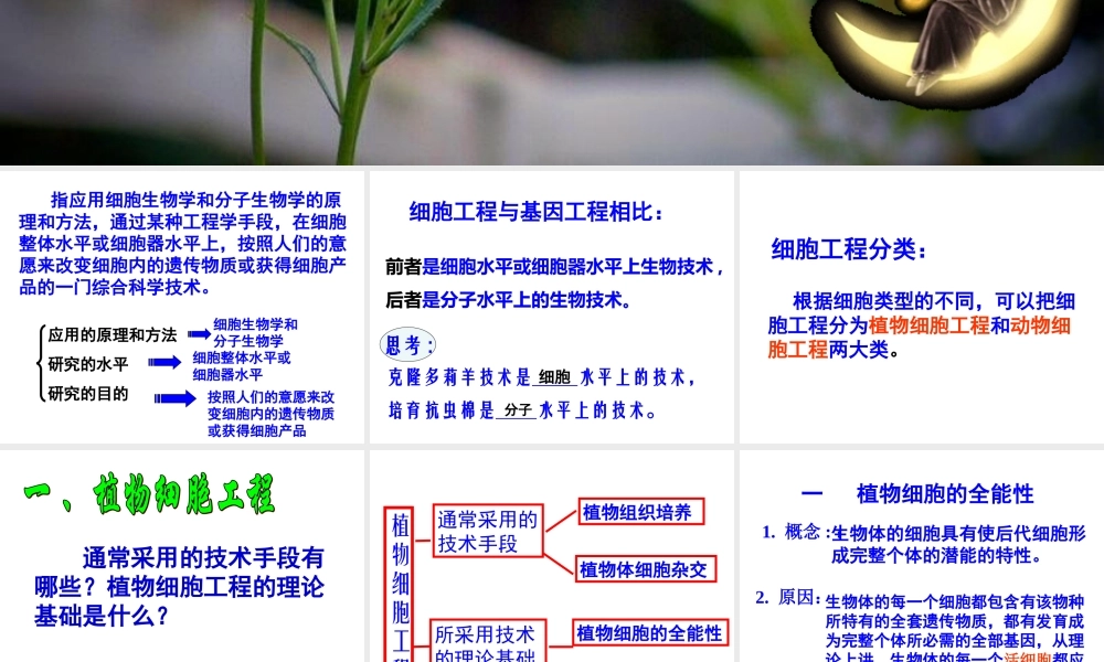 植物细胞工1程.ppt