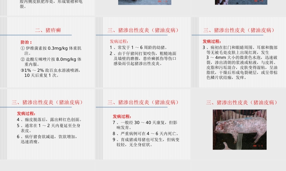 猪的常见皮肤病.ppt