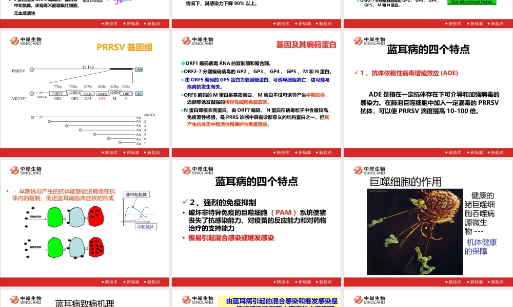 猪蓝耳病及其防控策略20140123-王和平.ppt