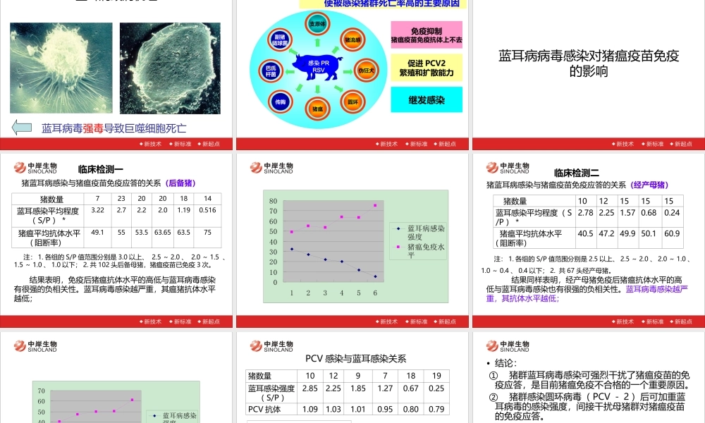 猪蓝耳病及其防控策略20140123-王和平.ppt