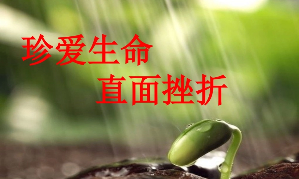 珍爱生命-直面挫折(最后).ppt