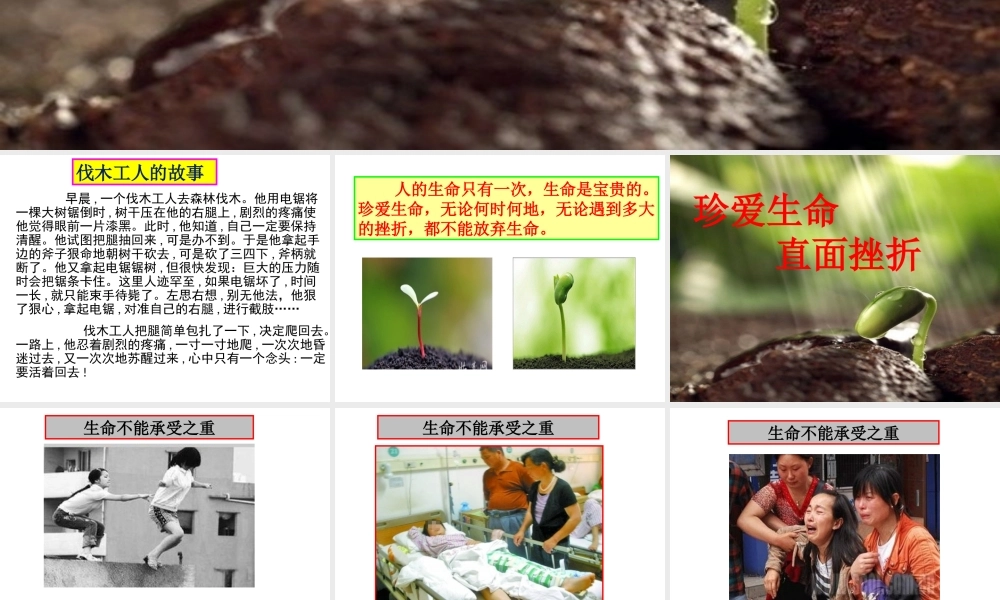 珍爱生命-直面挫折(最后).ppt