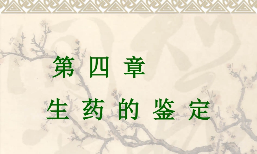 生药的鉴定.ppt