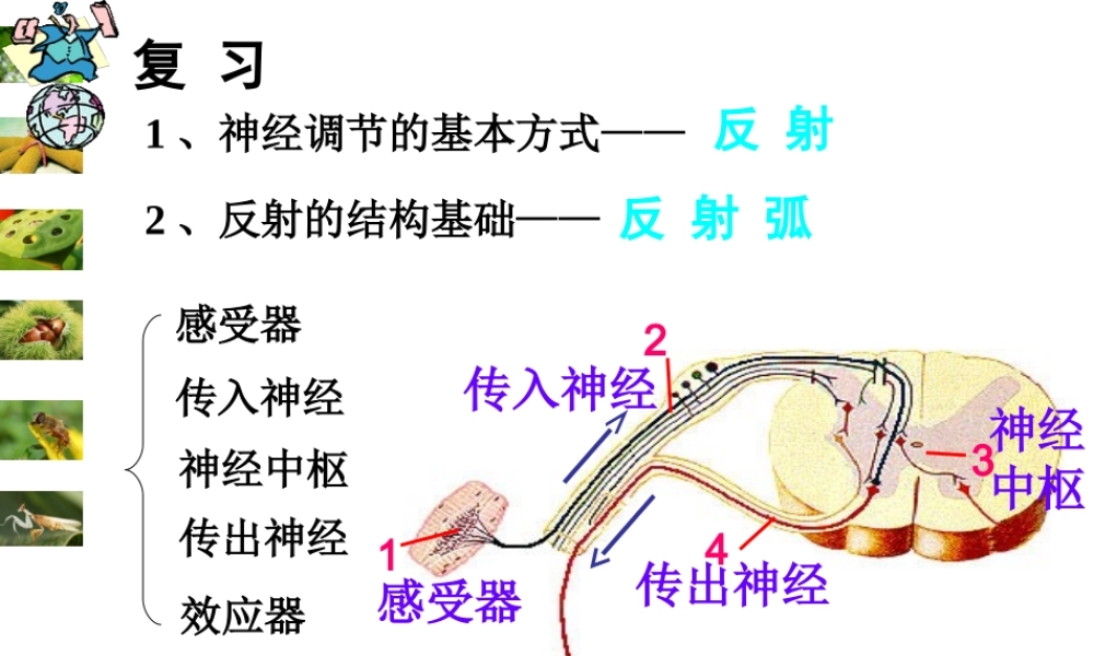 甲状腺激素分泌异常功能.ppt