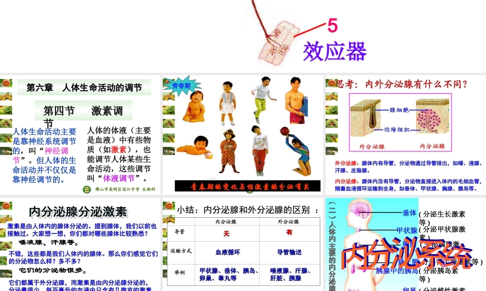 甲状腺激素分泌异常功能.ppt