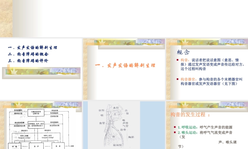 构音障碍的评估(-2010.5-).ppt