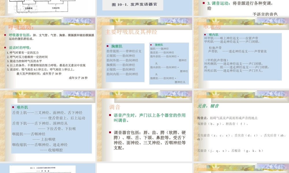 构音障碍的评估(-2010.5-).ppt