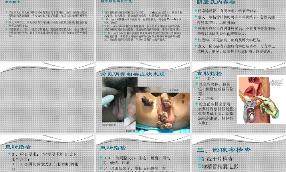 泌尿男性生殖系统常见症状及检查.ppt