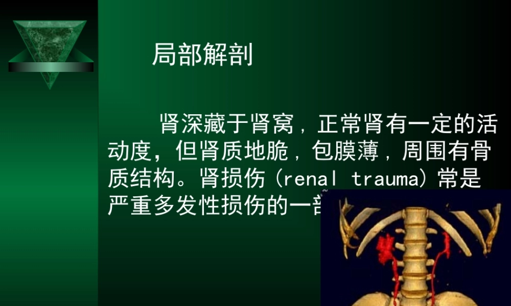 泌尿系损伤诊疗指南解读.ppt