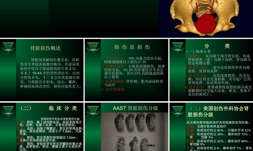 泌尿系损伤诊疗指南解读.ppt