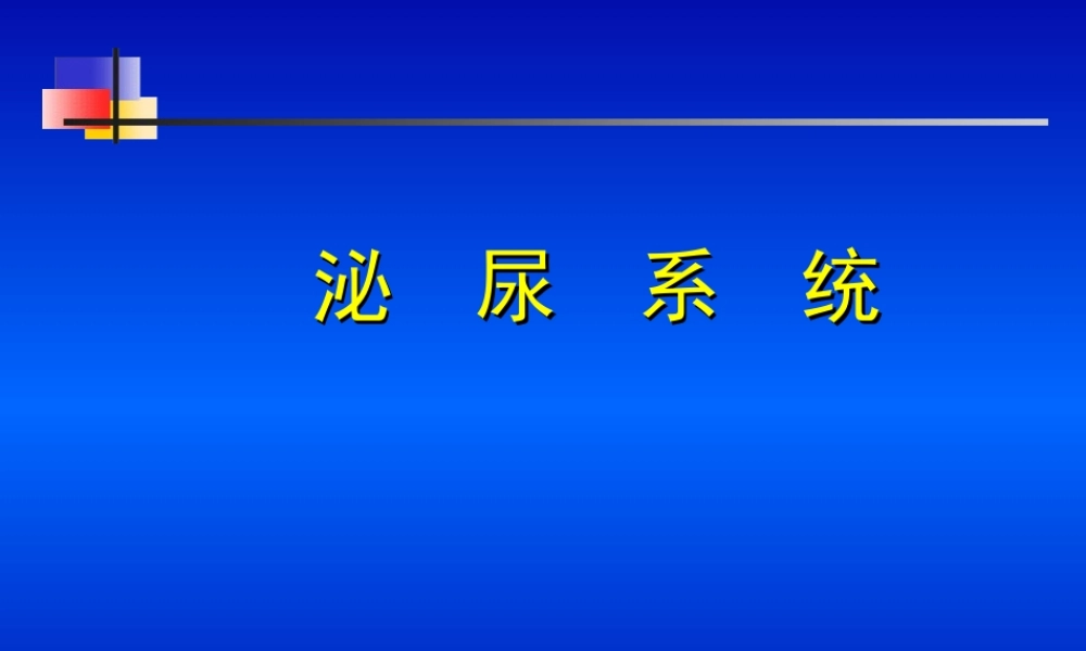 泌尿系统001分析资料.ppt
