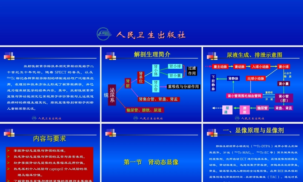 泌尿系统001分析资料.ppt