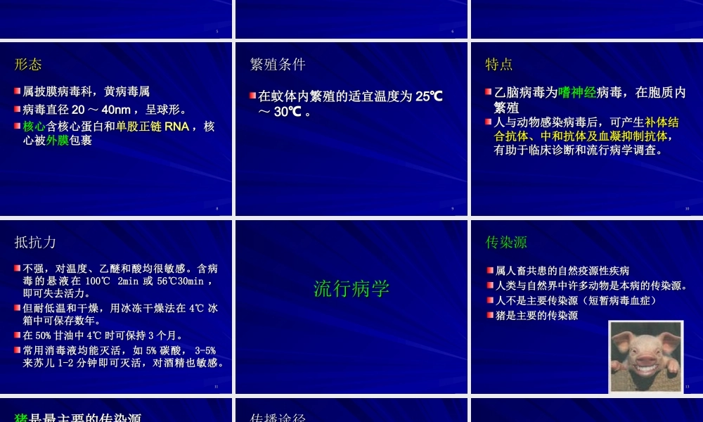 流行性乙型脑炎梁红霞.ppt