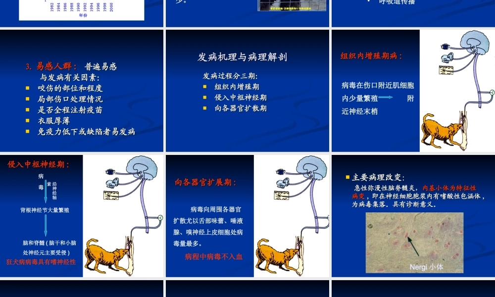 狂犬病防控.ppt
