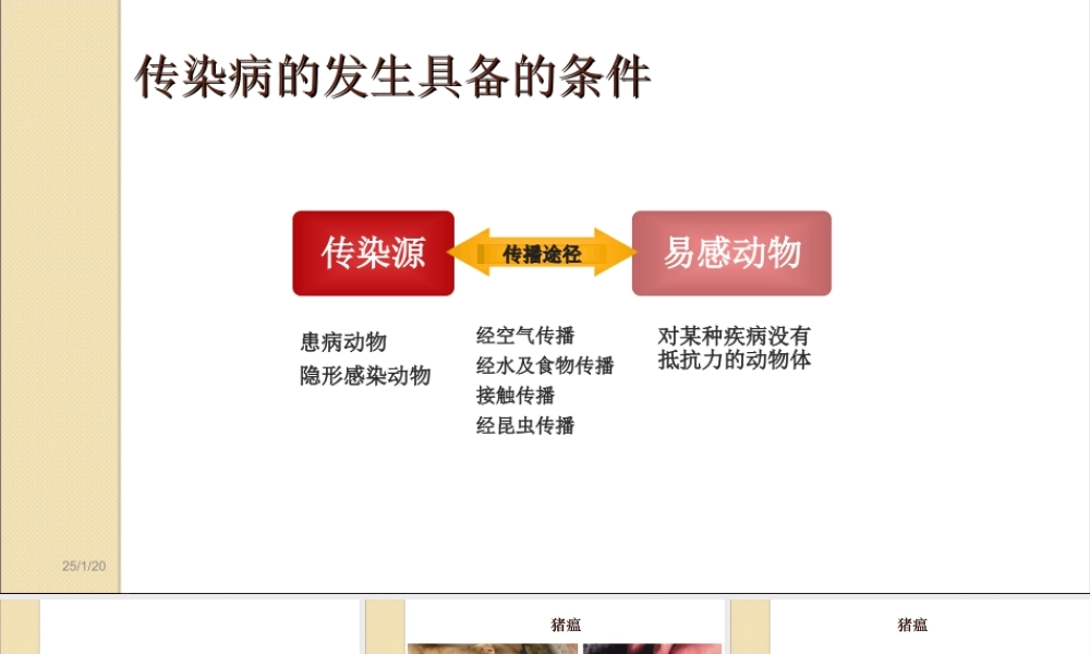 猪病防治技术ppt.ppt