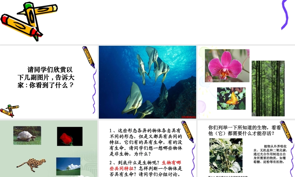 生长繁殖并能排出体内产生的废物C由细胞构成D.ppt