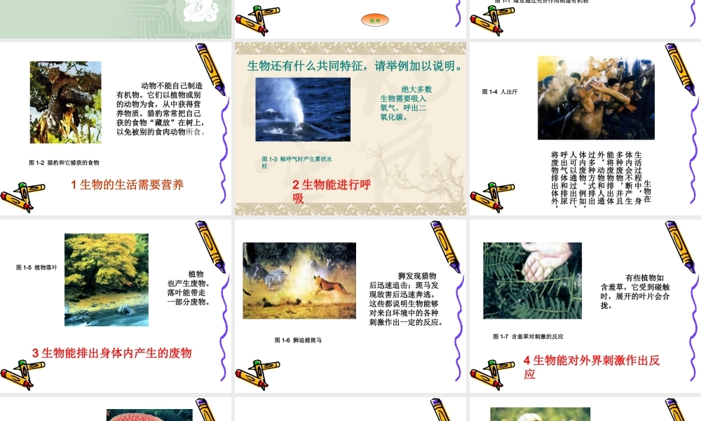 生长繁殖并能排出体内产生的废物C由细胞构成D.ppt