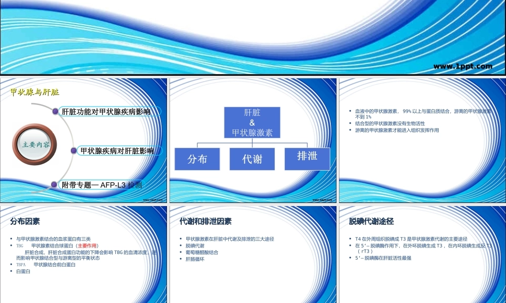 甲状腺功能与肝功能浅析.ppt