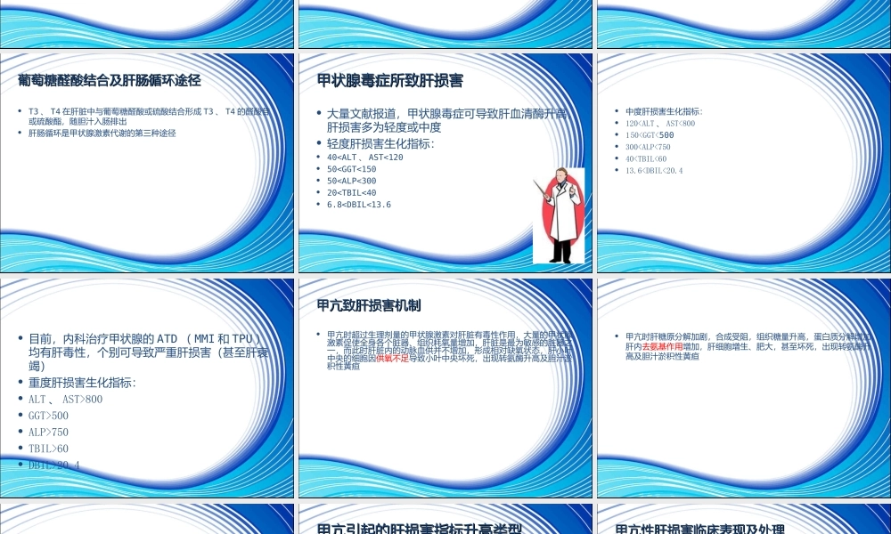 甲状腺功能与肝功能浅析.ppt