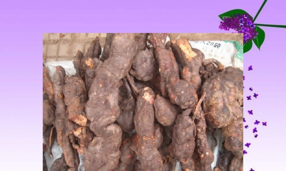 江南药王的传奇.ppt