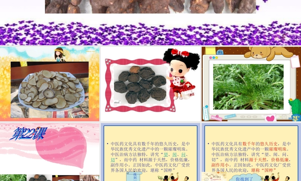 江南药王的传奇.ppt