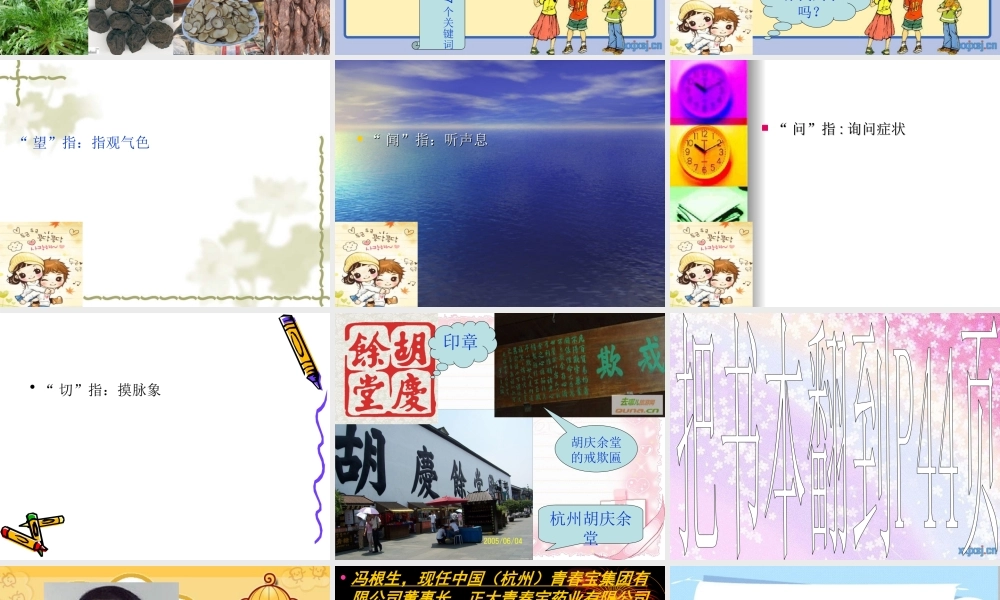 江南药王的传奇.ppt