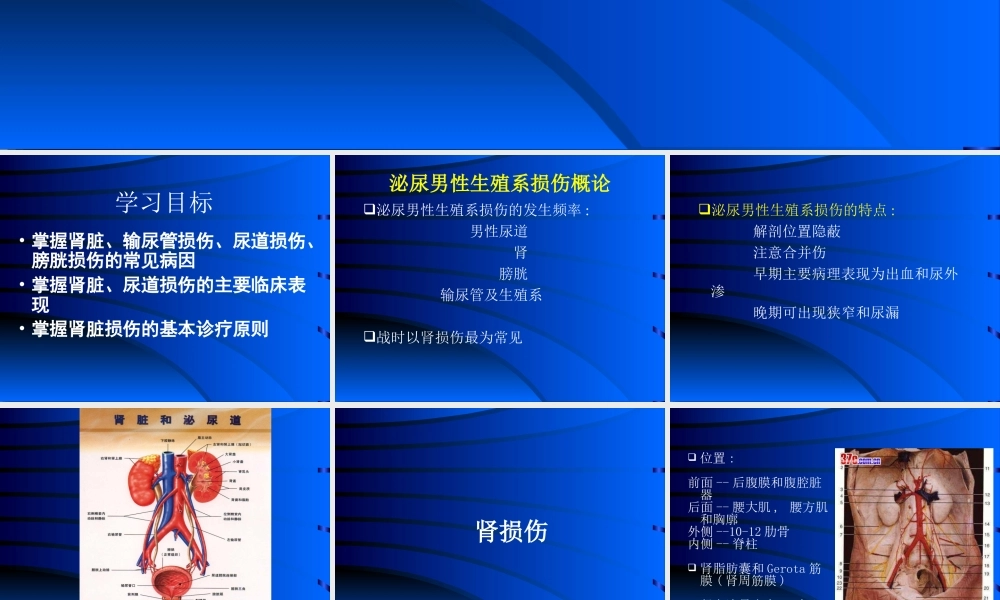 泌尿系损伤.ppt