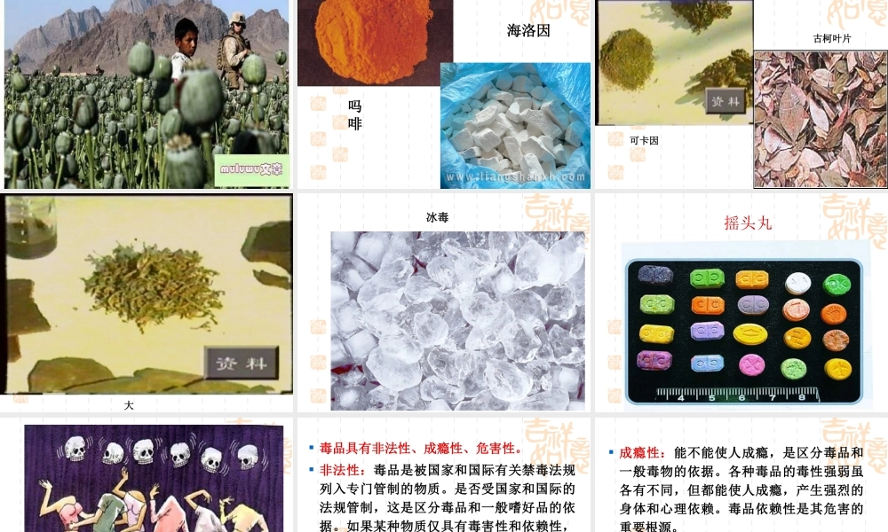 珍爱生命和远离毒品.ppt