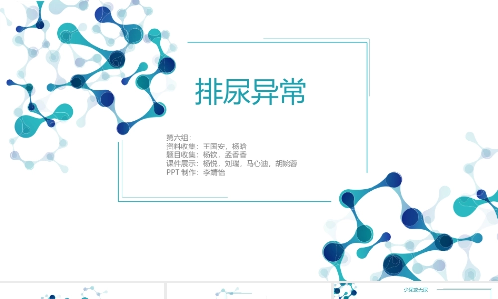 班-组排尿异常.ppt