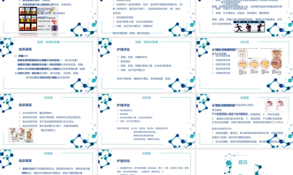 班-组排尿异常.ppt