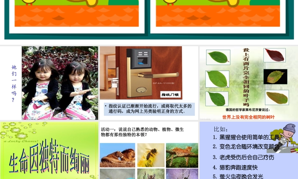 生命因独特而绚丽...ppt