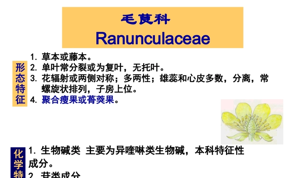 生药学02毛茛科.ppt