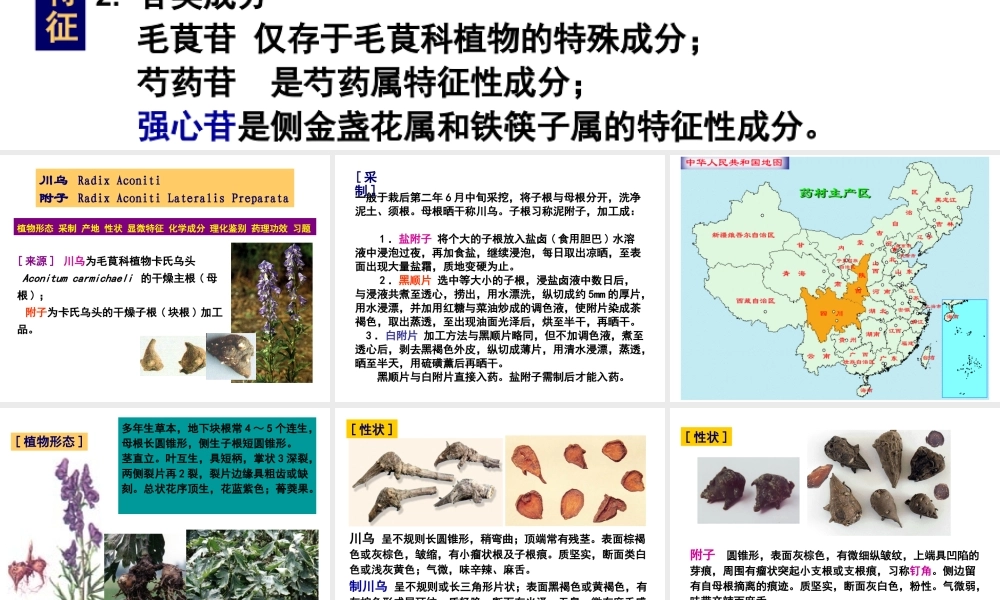 生药学02毛茛科.ppt