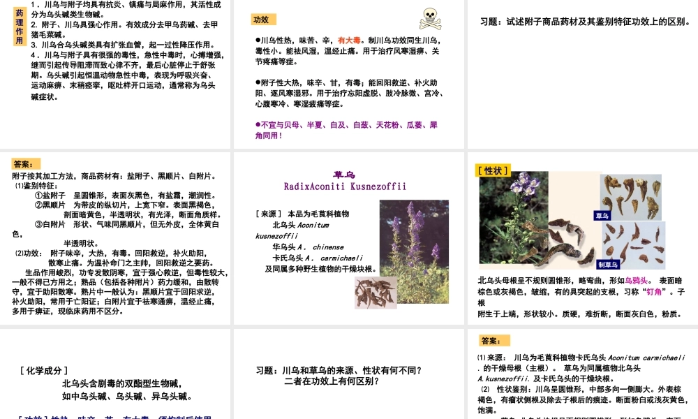 生药学02毛茛科.ppt