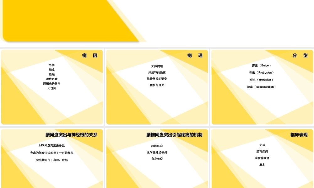 腰-间-盘-突-出-症.ppt