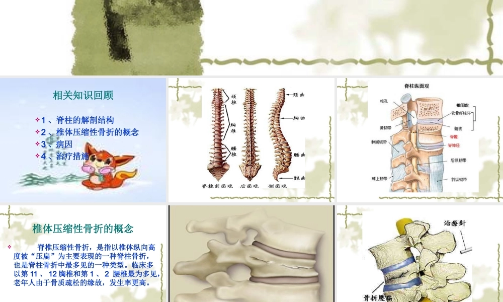 椎体压缩性骨折的教学查房.ppt
