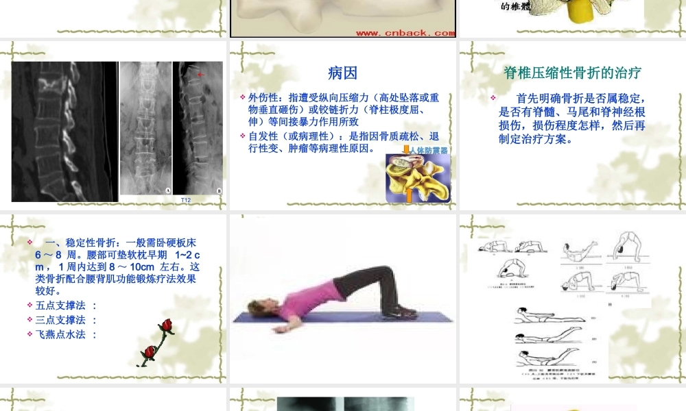 椎体压缩性骨折的教学查房.ppt