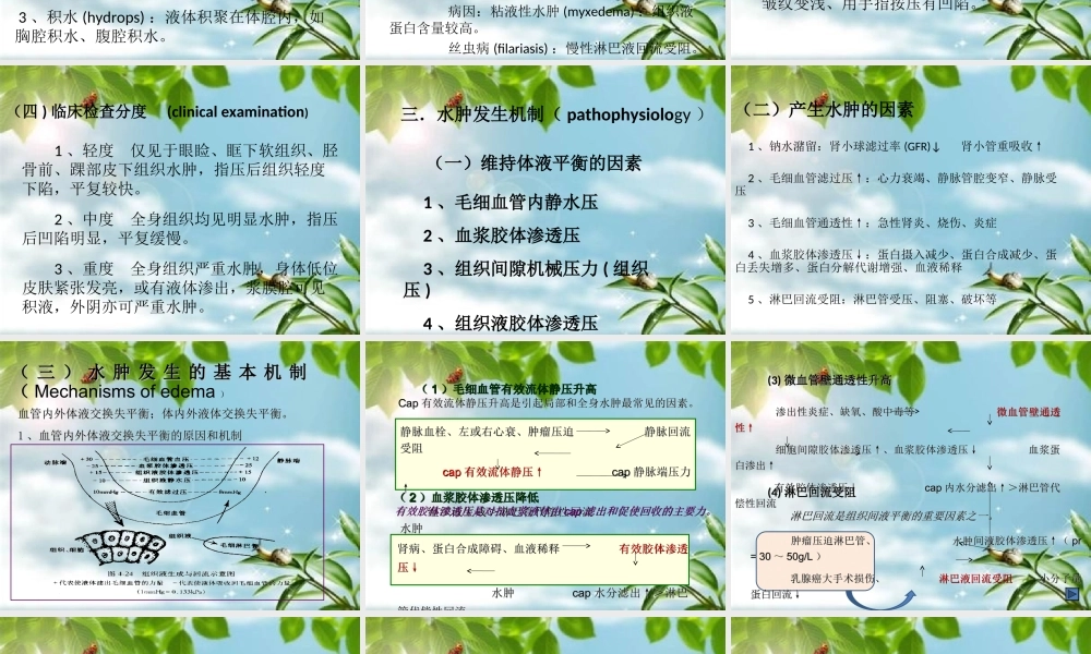 水肿的基本概述和原理介绍.ppt