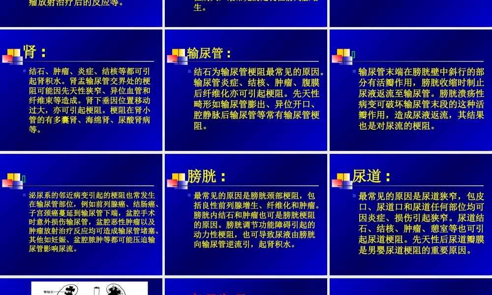 泌尿系统梗阻分析.ppt
