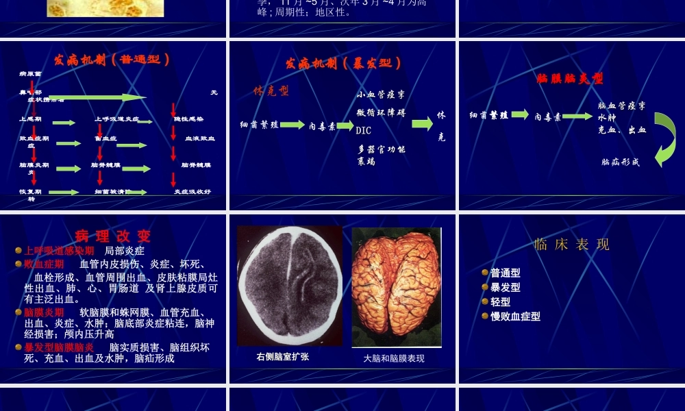 流行性脑脊髓膜炎夏.ppt